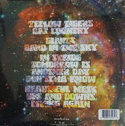 Back Cover: moe. – Circle Of Giants (Orange and Purple Swirl LP Vinyl) Vinyl LP | Relix