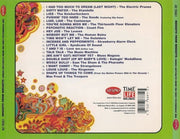 Back Cover: Nuggets From Nuggets-Artyfa – Nuggets From Nuggets: Original Artyfacts From The First Psychedelic Era CD | Relix