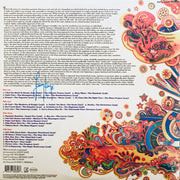 Back Cover: Nuggets – Nuggets: Original Artyfacts From The First Psychedelic Era (1965-1968, SYEOR 24 Exclusive Psychedelic 2-LP Vinyl) Vinyl LP | Relix