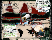 Back Cover: Pavement – Crooked Rain Crooked Rain CD | Relix
