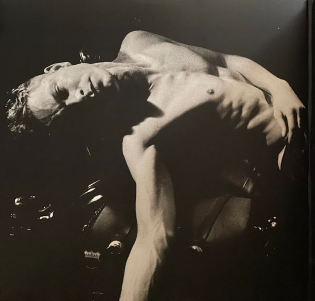 Back Cover: Perfume Genius – Set My Heart On Fire Immediately Vinyl LP | Relix