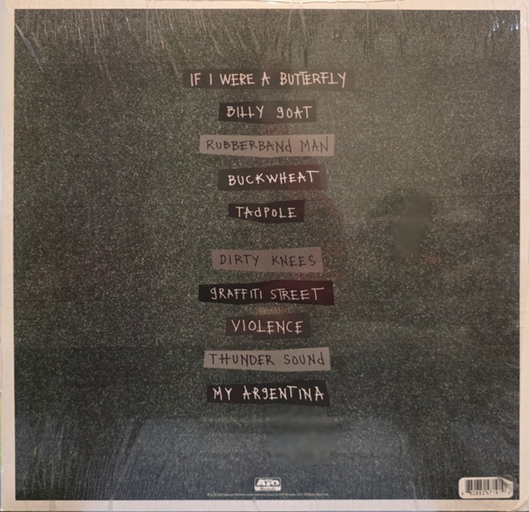 Back Cover: Rayland Baxter – If I Were A Butterfly (Clear LP Vinyl) Vinyl LP | Relix