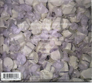 Back Cover: Slothrust – Everyone Else CD | Relix