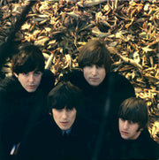 Back Cover: The Beatles – Beatles For Sale (Reissue, Remastered, 180 Gram LP Vinyl) Vinyl LP | Relix