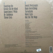 Back Cover: The Colorist Orchestra & Howe Gelb – Not On The Map Vinyl LP | Relix