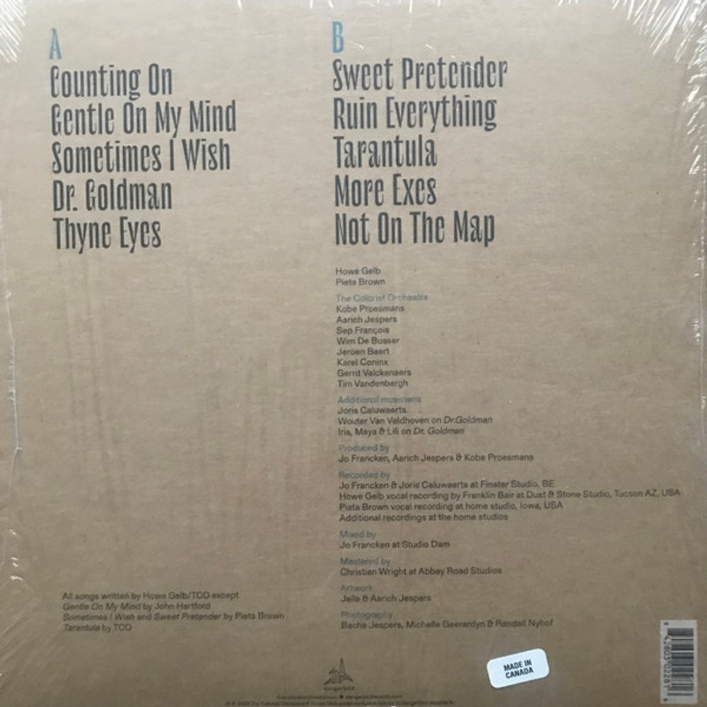 Back Cover: The Colorist Orchestra & Howe Gelb – Not On The Map Vinyl LP | Relix