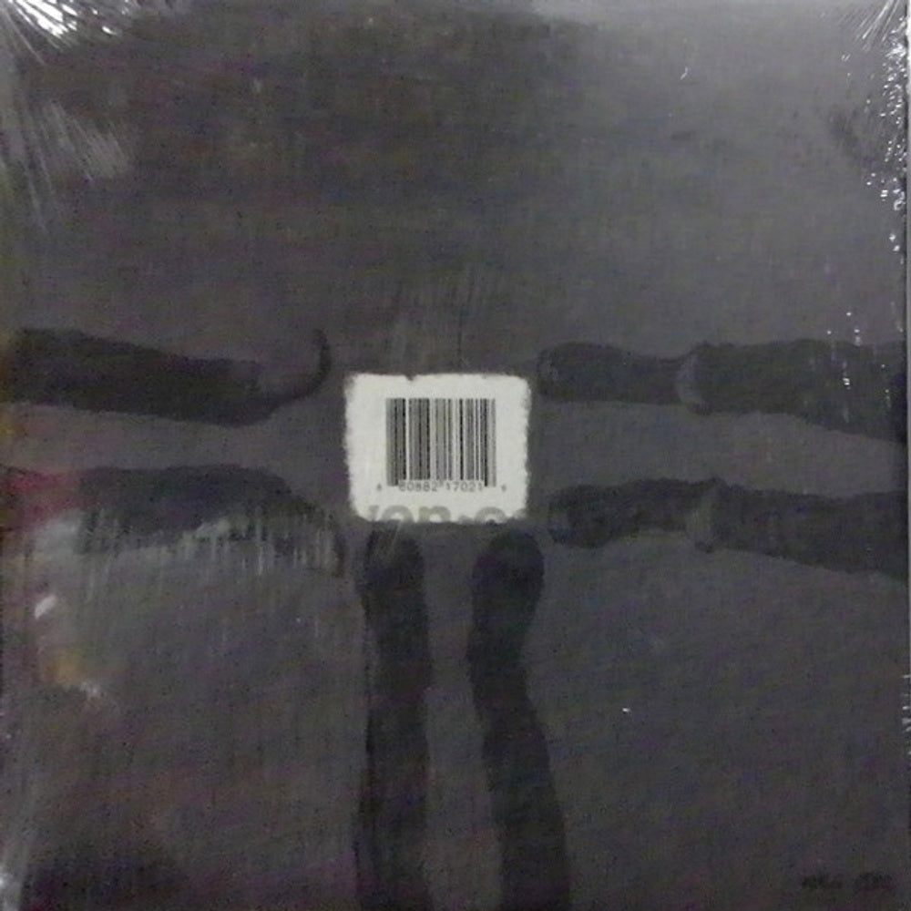 Back Cover: The Whigs – In The Dark Vinyl LP | Relix
