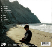Back Cover: Tycho – Simulcast Vinyl LP | Relix