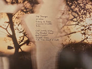 Back Cover: Watchhouse – Blindfaller Vinyl LP | Relix