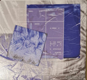 Back Cover: Water From Your Eyes – It's A Beautiful Place Vinyl LP | Relix