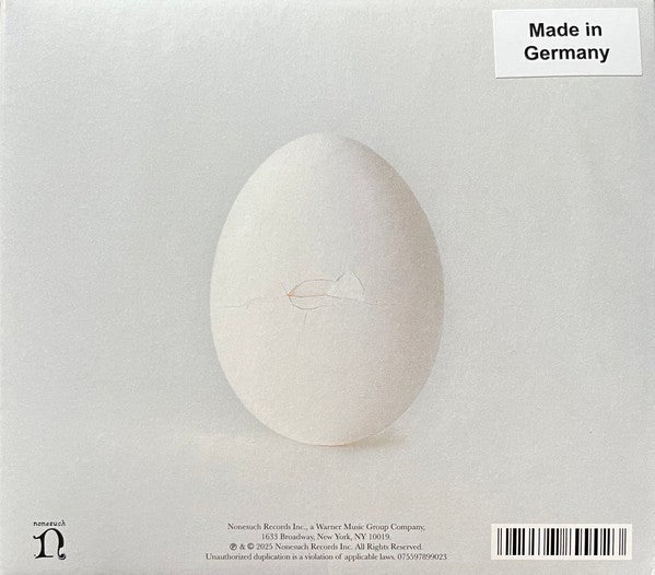 Back Cover: Wilco – A Ghost Is Born (Deluxe Edition) - CD | Relix