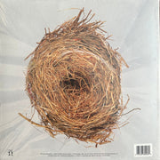 Back Cover: Wilco – A Ghost Is Born (Deluxe Edition) - Vinyl LP | Relix