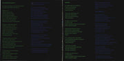 Big Thief – Double Infinity – Gatefold – Relix – 1200x1200px