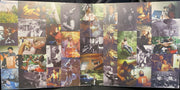 Big Thief – Dragon New Warm Mountain I Believe In You – Back Cover – Relix – 2007x1000px