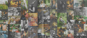 Big Thief – Dragon New Warm Mountain I Believe In You – Label Disc – Relix – 2240x1000px