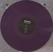 Big Thief – Masterpiece – Label Disc – Relix – 1019x1000px