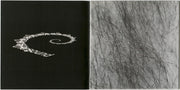 David Byrne – David Byrne – Gatefold – Relix – 1200x1200px