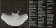 David Byrne – David Byrne – Gatefold – Relix – 1200x1200px
