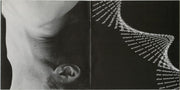 David Byrne – David Byrne – Gatefold – Relix – 1200x1200px