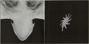 David Byrne – David Byrne – Gatefold – Relix – 1200x1200px