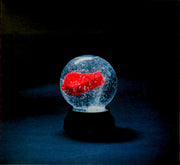 Front Cover: Darkside – Nothing CD | Relix