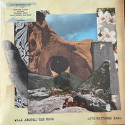Front Cover: Dave Matthews Band – Walk Around The Moon Vinyl LP | Relix