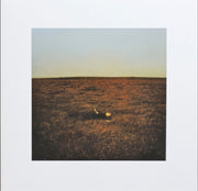 Front Cover: Fink – City Is Coming To Erase It All (Gate, With Booklet LP Vinyl) Vinyl LP | Relix