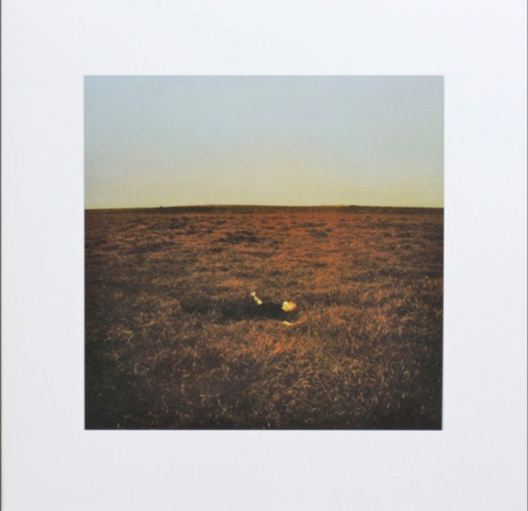 Front Cover: Fink – City Is Coming To Erase It All (Gate, With Booklet LP Vinyl) Vinyl LP | Relix