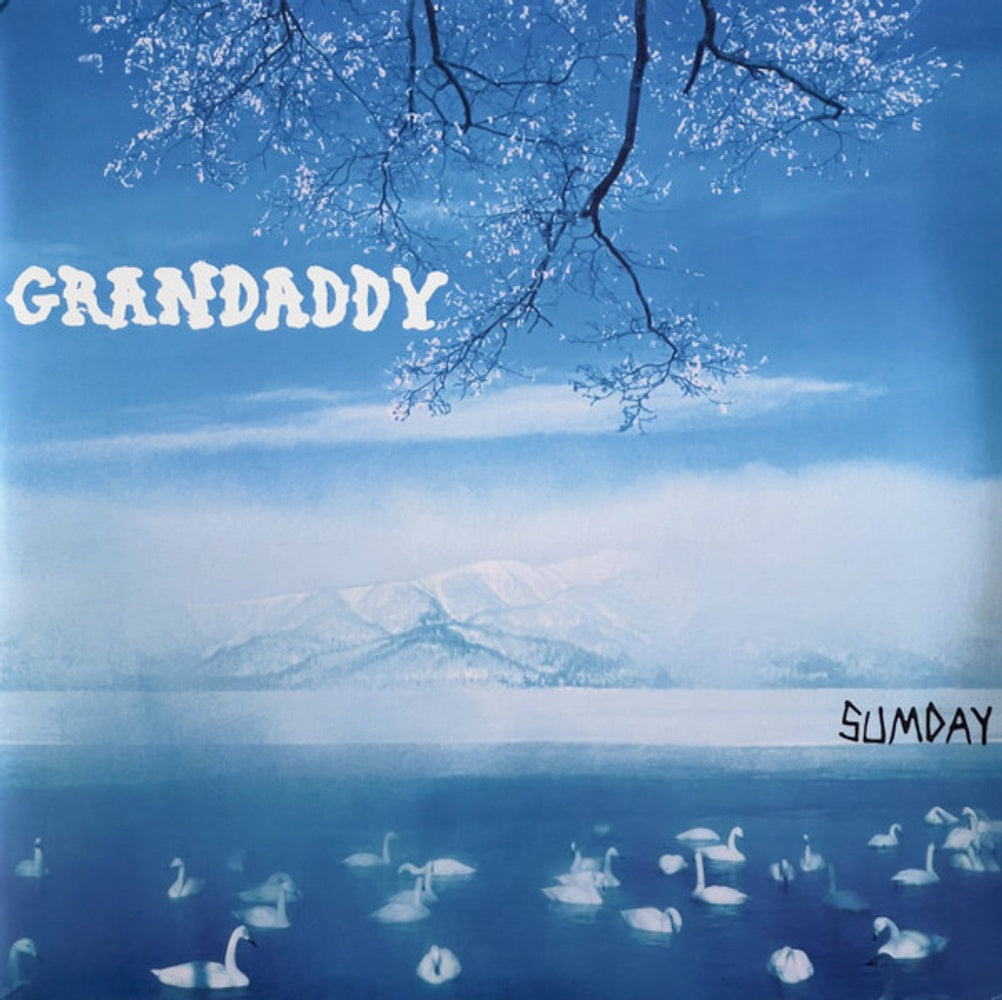 Front Cover: Grandaddy – Sumday: 20th Anniversary (Limited Edition White 2-LP Vinyl) Vinyl LP | Relix