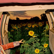Front Cover: Kevin Morby – Little Wide Open CD | Relix
