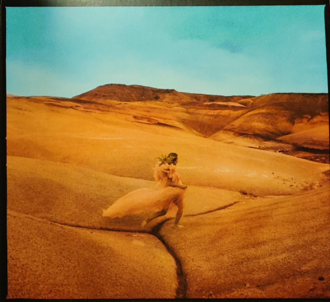 Front Cover: Margo Price – Strays CD | Relix