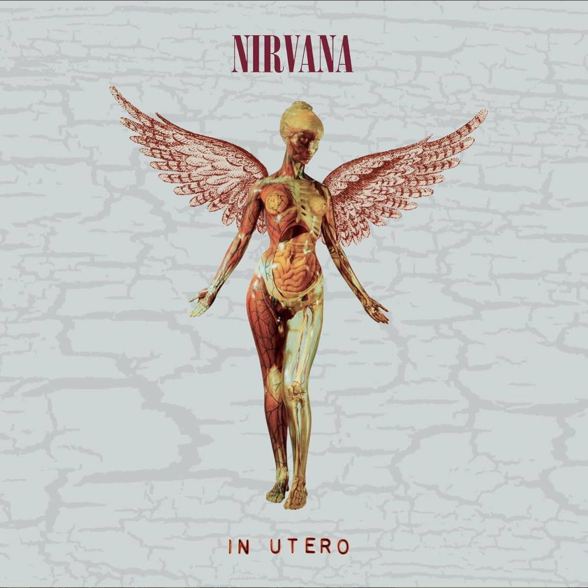 Front Cover: Nirvana – In Utero 30th (2-CD) CD | Relix