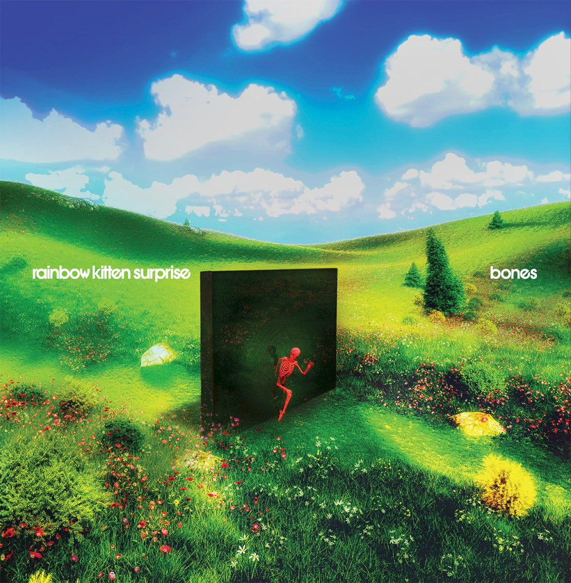 Front Cover: Rainbow Kitten Surprise – bones Vinyl LP | Relix