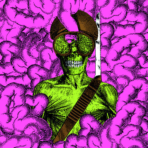 Front Cover: Thee Oh Sees – Carrion Crawler / Dream Vinyl LP | Relix