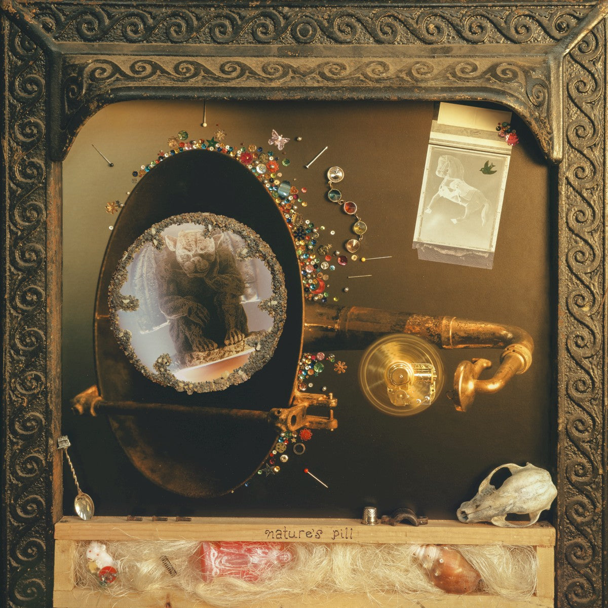 Front Cover: Wishy – Nature's Pill Vinyl LP | Relix