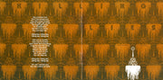 Gatefold 10: The Strokes – First Impressions of Earth CD | Relix