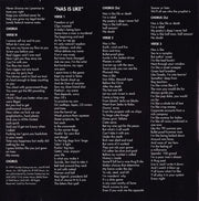 Gatefold 11: Nas – I Am CD | Relix