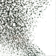 Gatefold 11: Wilco – Sky Blue Sky CD | Relix