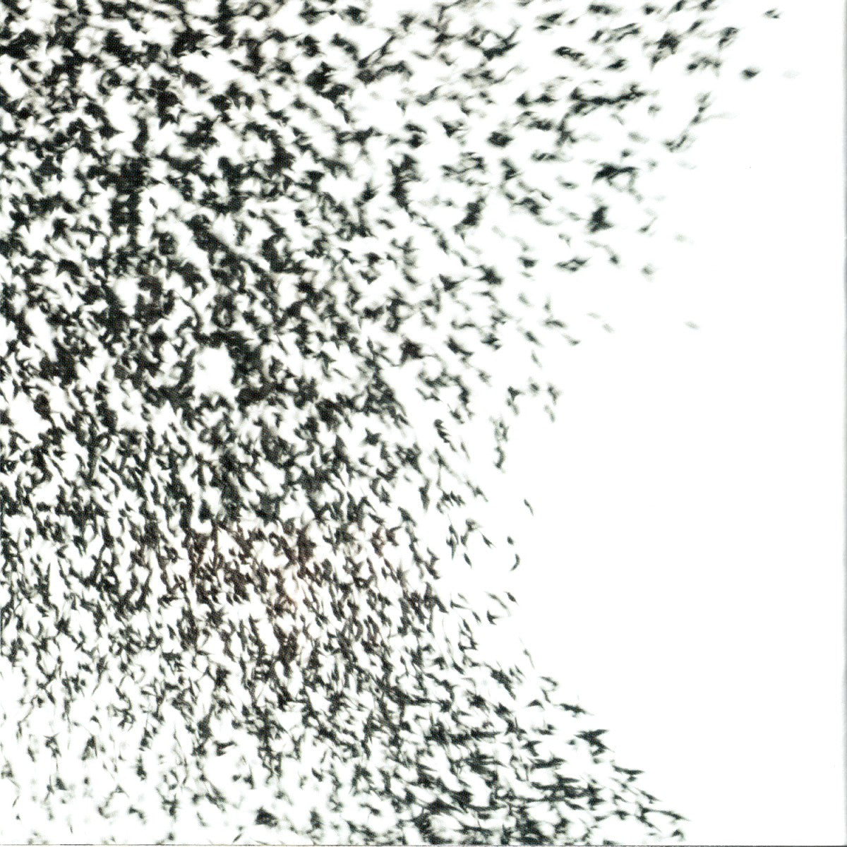 Gatefold 11: Wilco – Sky Blue Sky CD | Relix