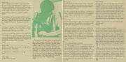 Gatefold 2: Belle And Sebastian – Life Pursuit Vinyl LP | Relix