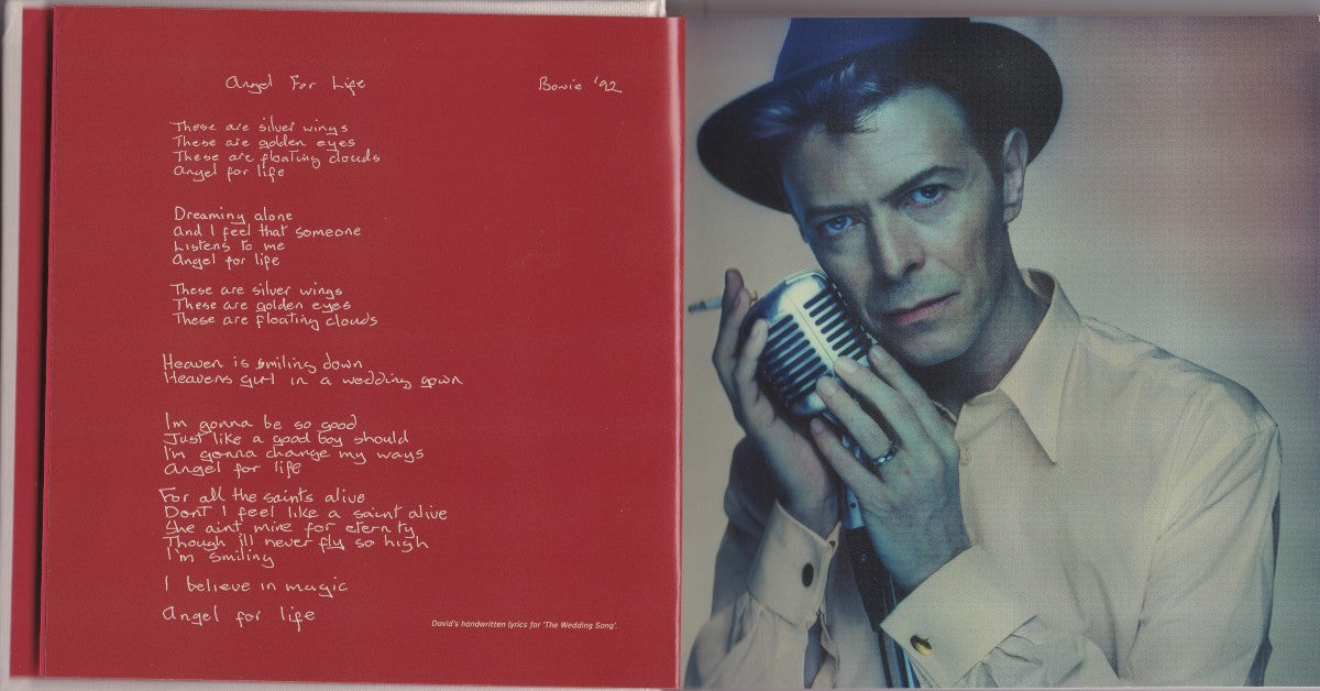 Gatefold 2: David Bowie – Brilliant Adventure (1992 – 2001, 11CD Box Set) CD | Relix