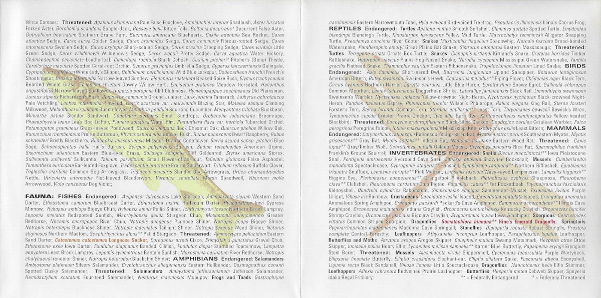 Gatefold 2: Frank Zappa – Chicago '78 CD | Relix
