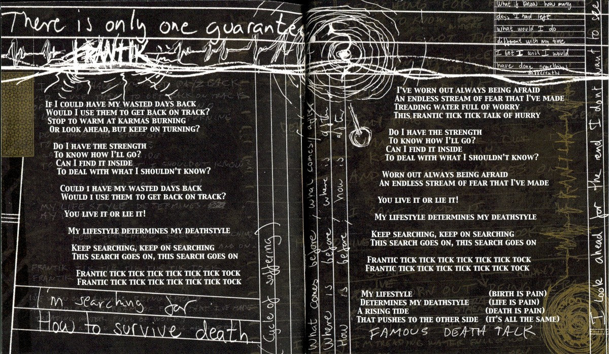 Gatefold 2: Metallica – St. Anger Vinyl LP | Relix