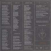 Gatefold 2: Robert Plant – lullaby and... The Ceaseless Roar Vinyl LP | Relix