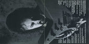 Gatefold 2: Tinsley Ellis – Storm Warning CD | Relix