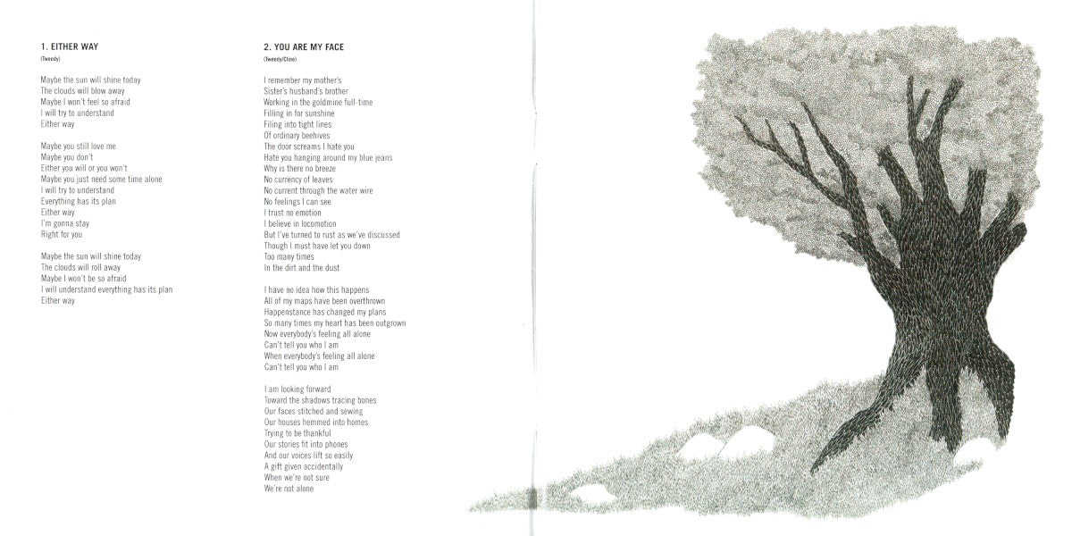 Gatefold 2: Wilco – Sky Blue Sky CD | Relix