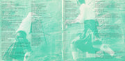 Gatefold 3: Belle And Sebastian – The Boy With The Arab Strap CD | Relix