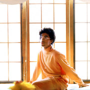 Gatefold 3: Prince – Sign O’ The Times (2-LP Vinyl) Vinyl LP | Relix