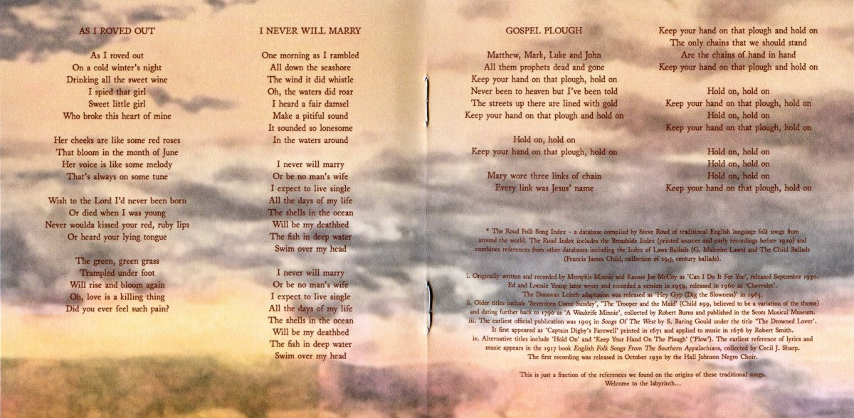 Gatefold 3: Robert Plant – Saving Grace CD | Relix