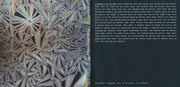 Gatefold 3: The National – Trouble Will Find Me CD | Relix